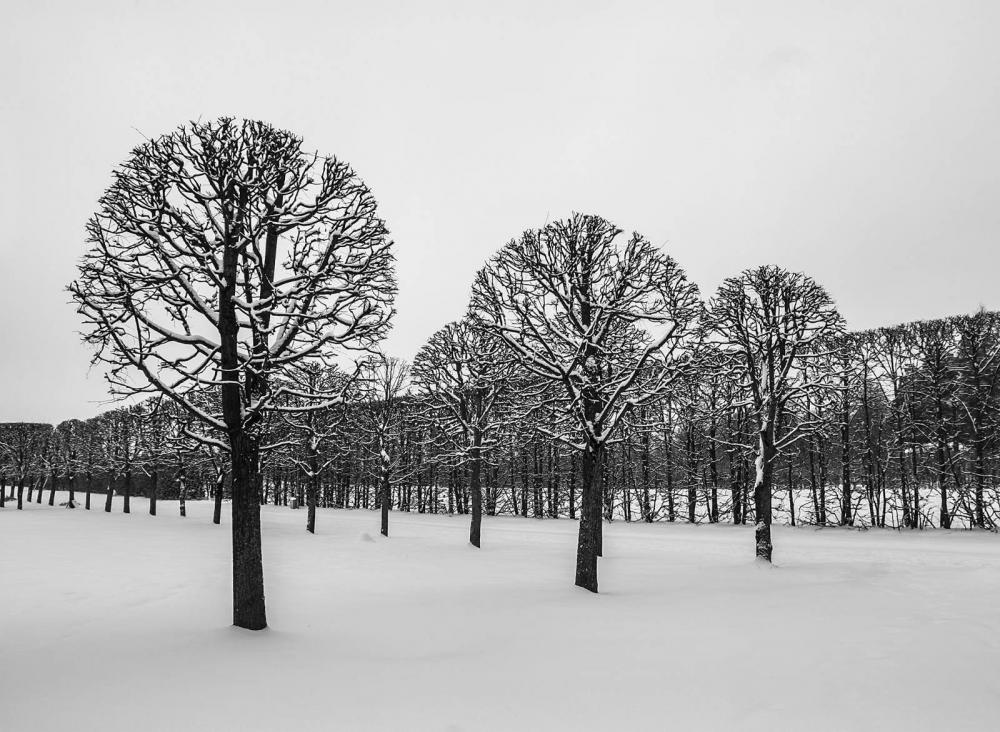 _DSC7684-1_2777(2).jpg