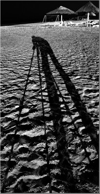 self_portrait1.jpg