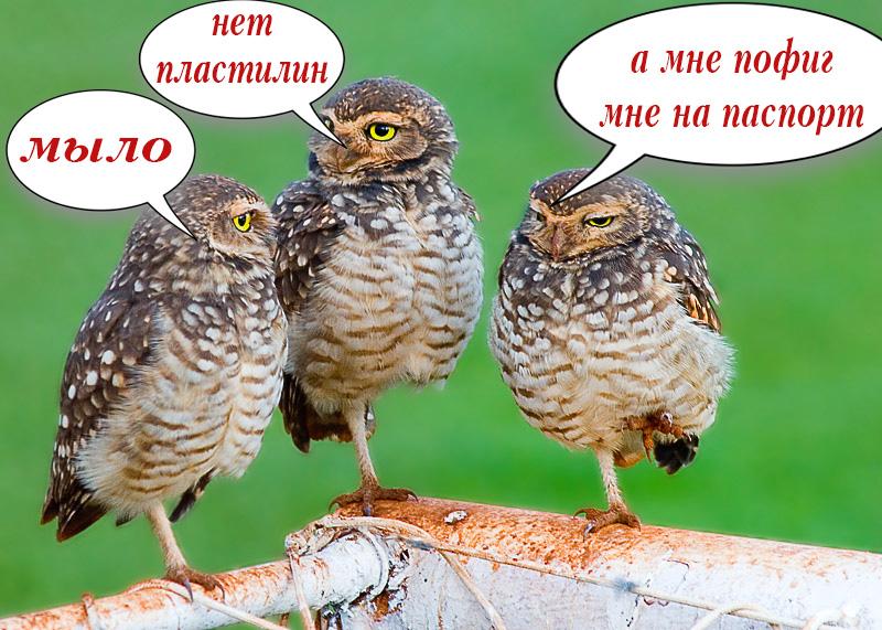 мыло.jpg