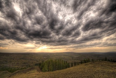image0001_copy.jpg