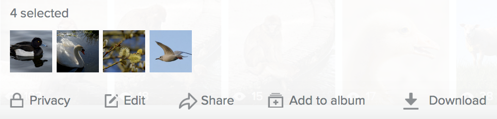 Screen Shot 2018-03-16 at 19.28.03.png