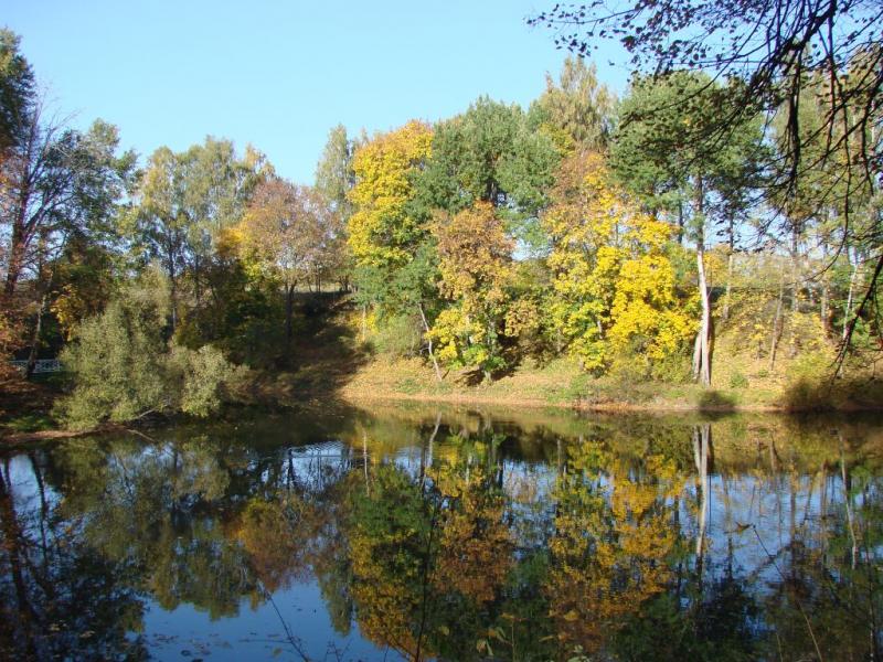 DSC02402.jpg