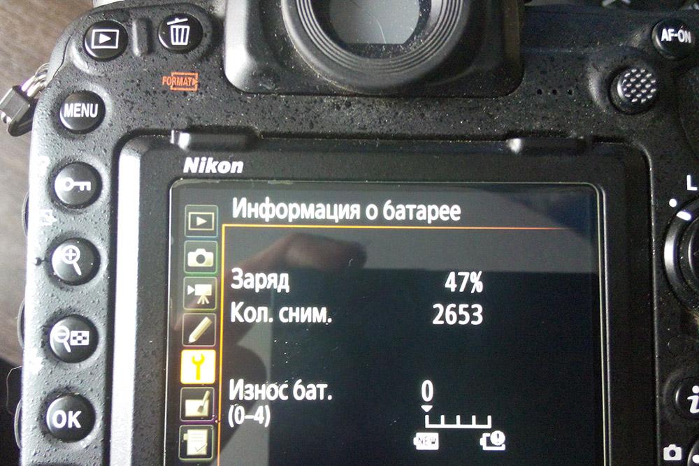 444.jpg