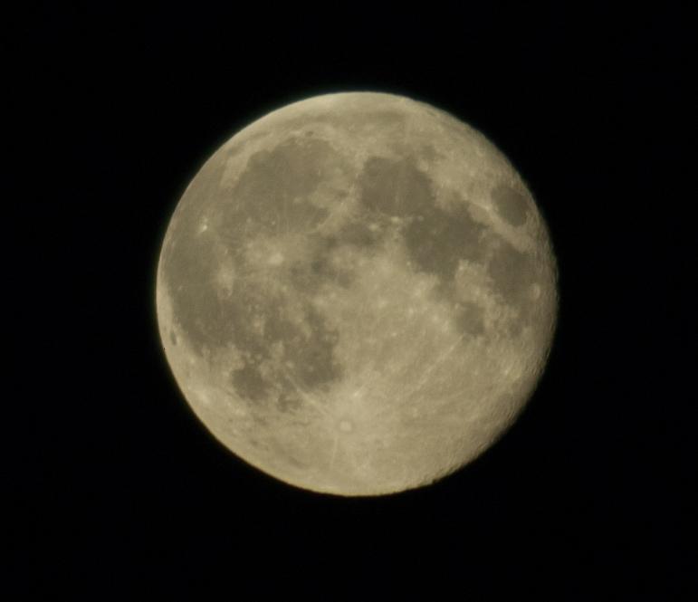 DSC_5914.jpg
