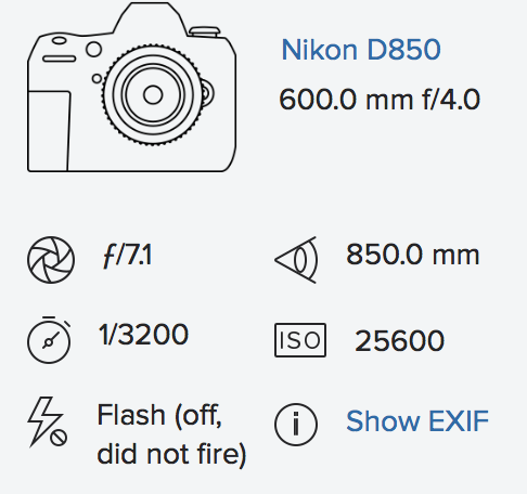 Screen Shot 2018-05-06 at 15.42.46.png