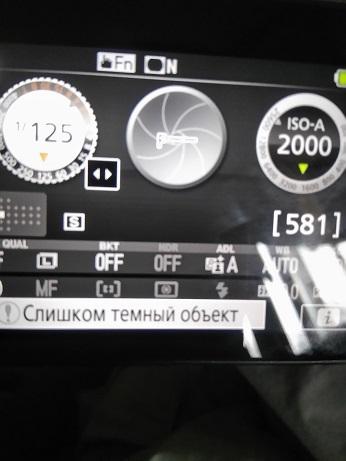 555.jpg