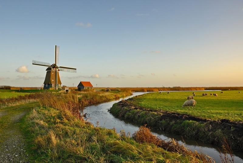 Dutch_pastoral.jpg