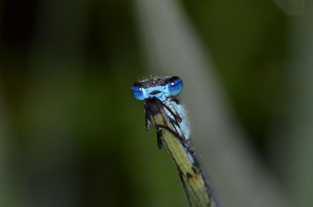 DSC_4256.JPG