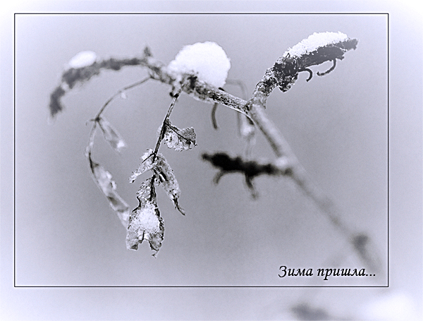 зима.jpg