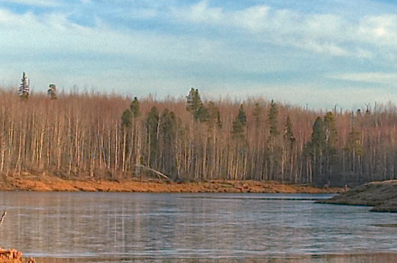 DSC_5855_1.jpg