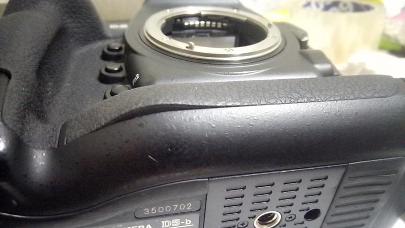 P81101-204724.jpg