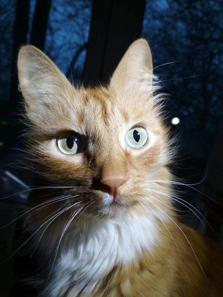 2018-01-05 15.40.08_resize.jpg