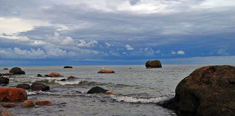 2007Sep08_008.jpg