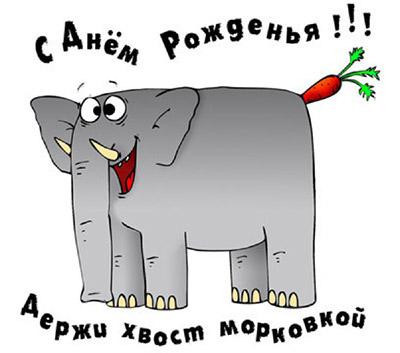 IMG_1037.jpg