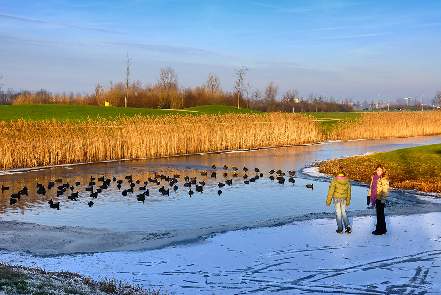Kinderen_en_vogels.jpg