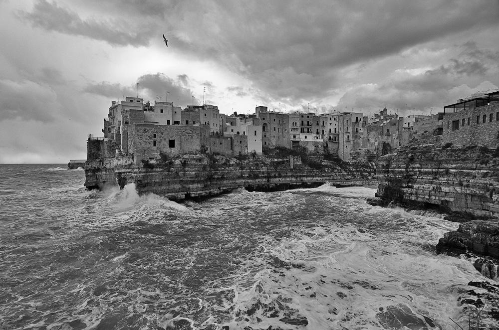 DSC_0608ff.jpg