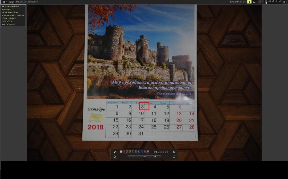 221.jpg