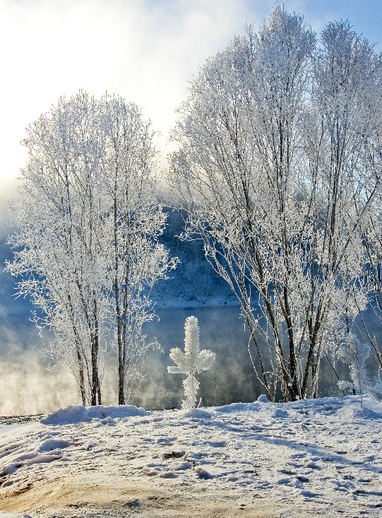 _DSC0055в.jpg