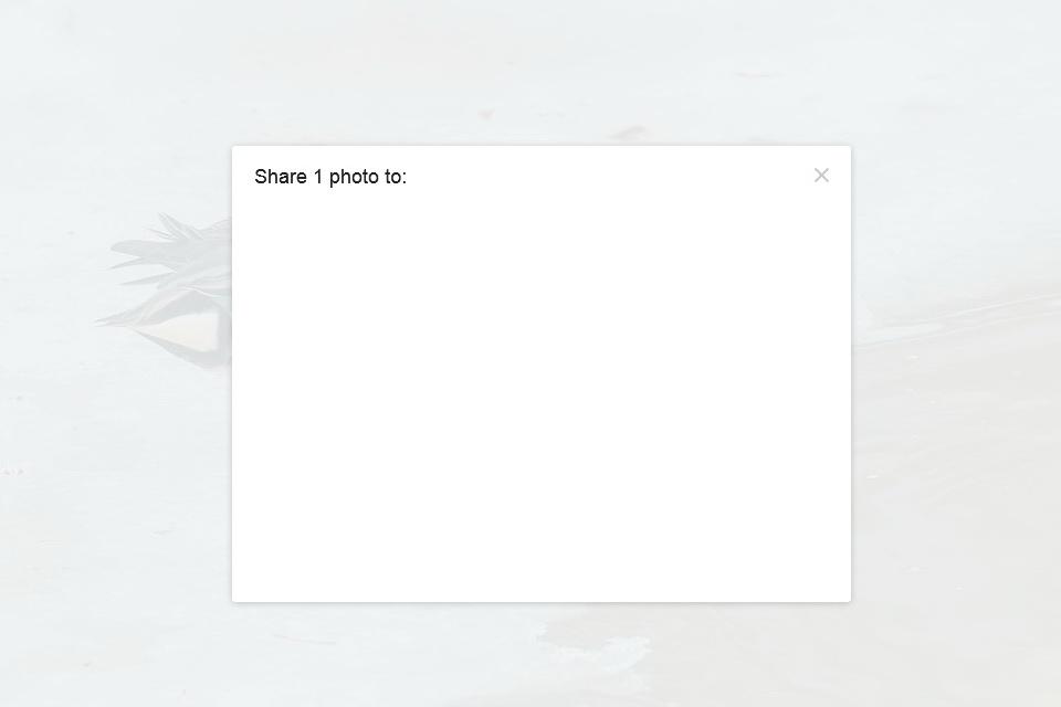 Clip_2.jpg