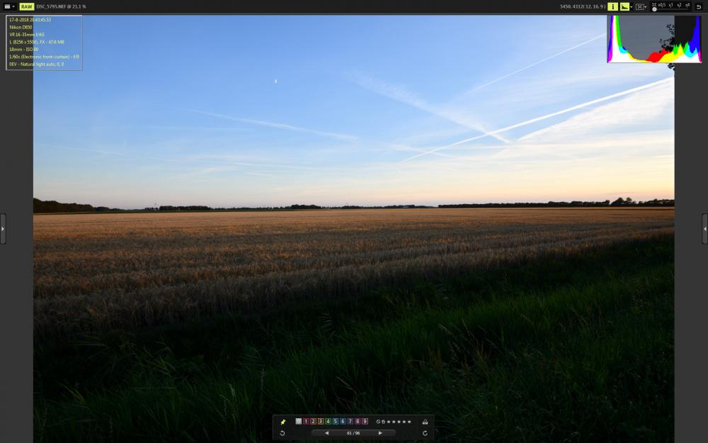 DSC_5795_VX.jpg