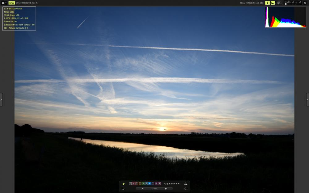 DSC_5806_VX.jpg