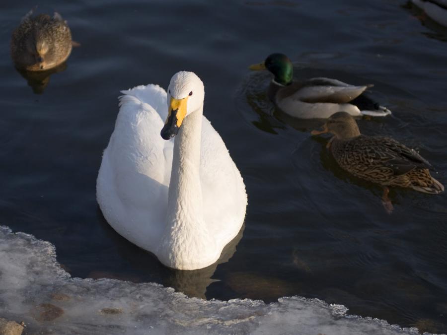 DSC_2644.jpg