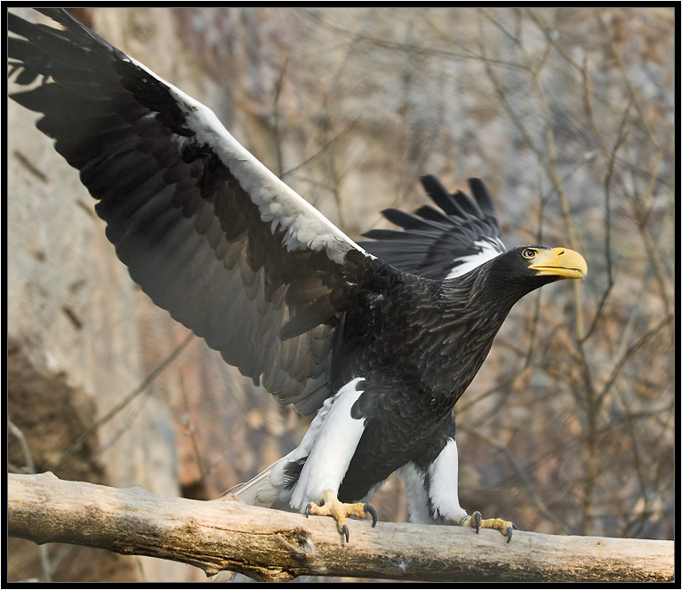 DSC_2282.jpg