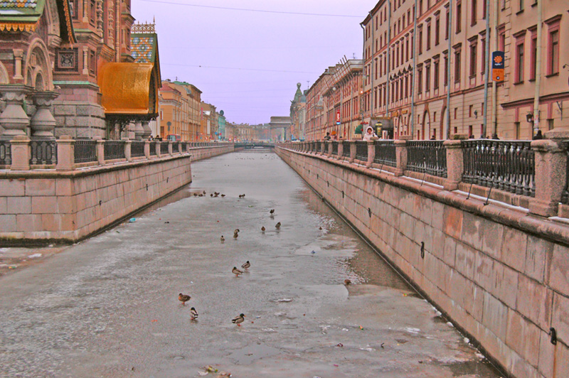 утки_в_декабре3.jpg