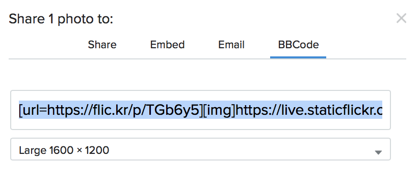 Screen Shot 2019-05-08 at 21.01.27.png