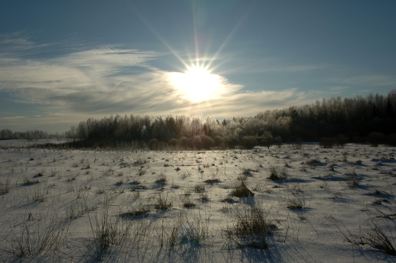 winter_view.jpg