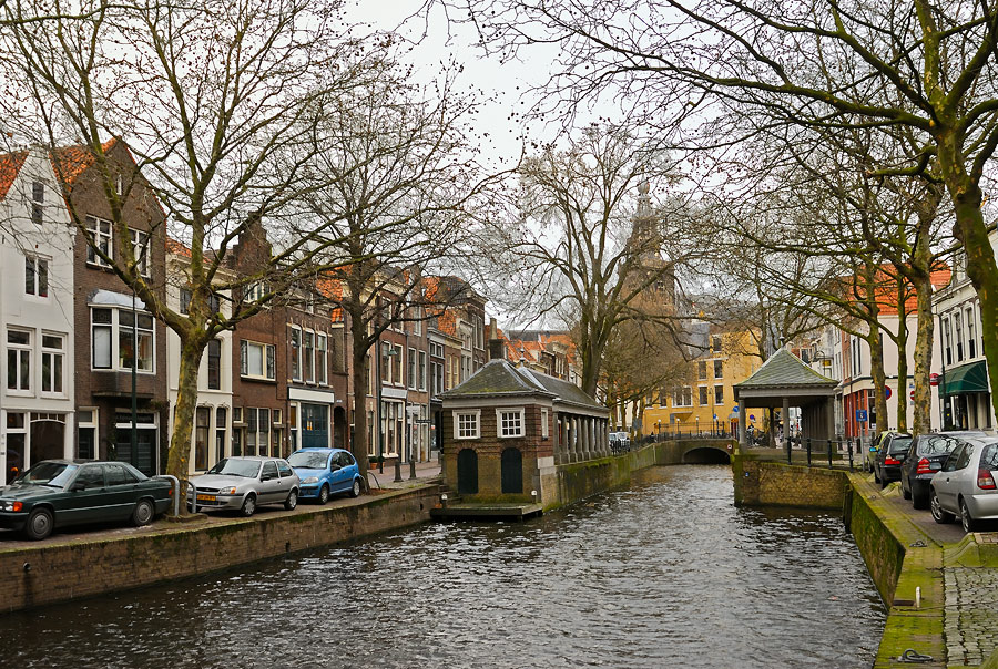 _DSC5579_a.jpg