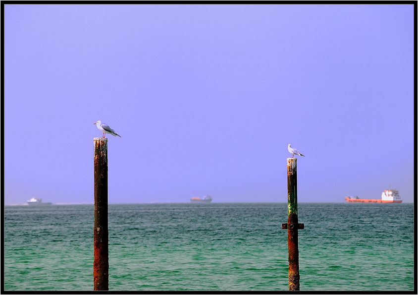 DSC_0006.jpg