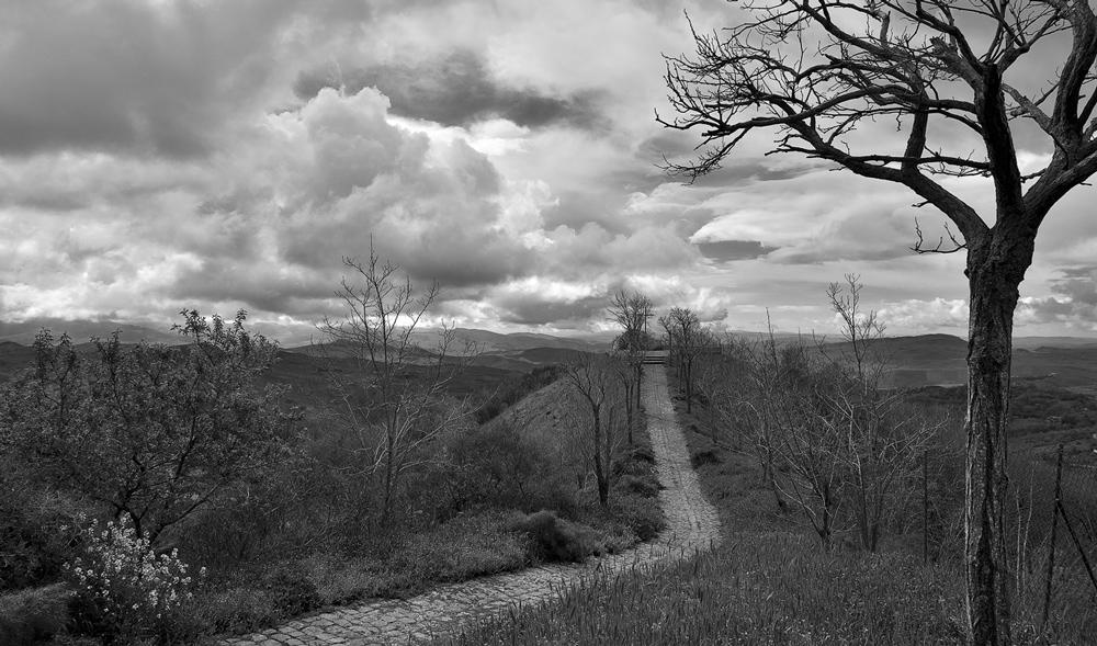 DSC_3399_01ff.jpg