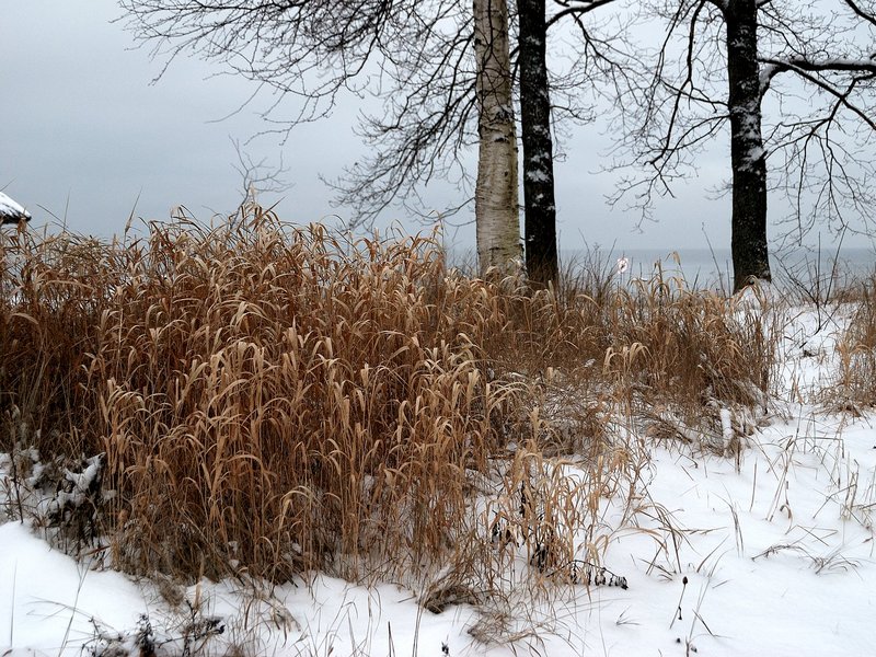 2008Jan09_034_cr.jpg
