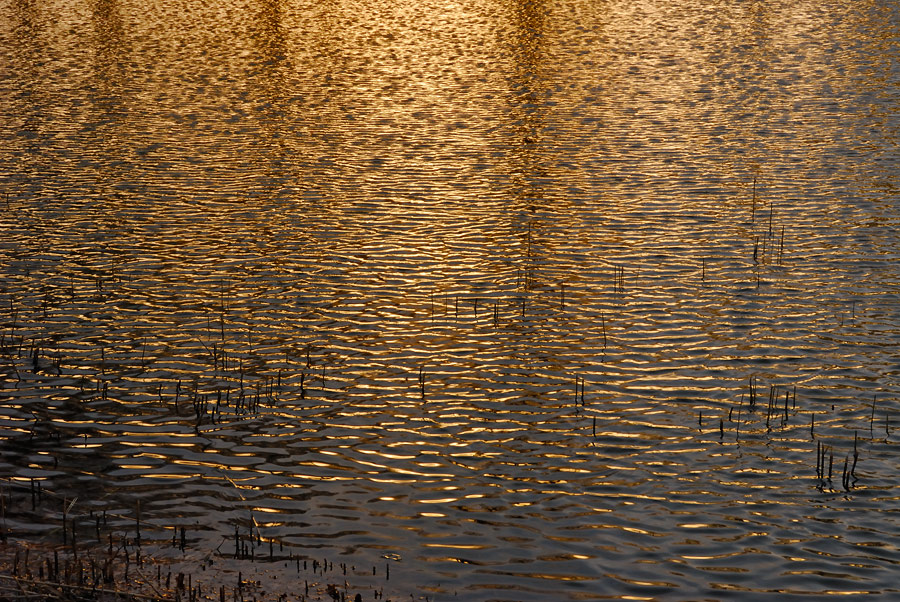 _DSC5928_a.jpg