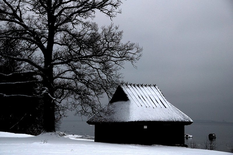 2008Jan09_057_cr.jpg