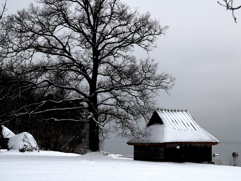 2008Jan09_055.jpg