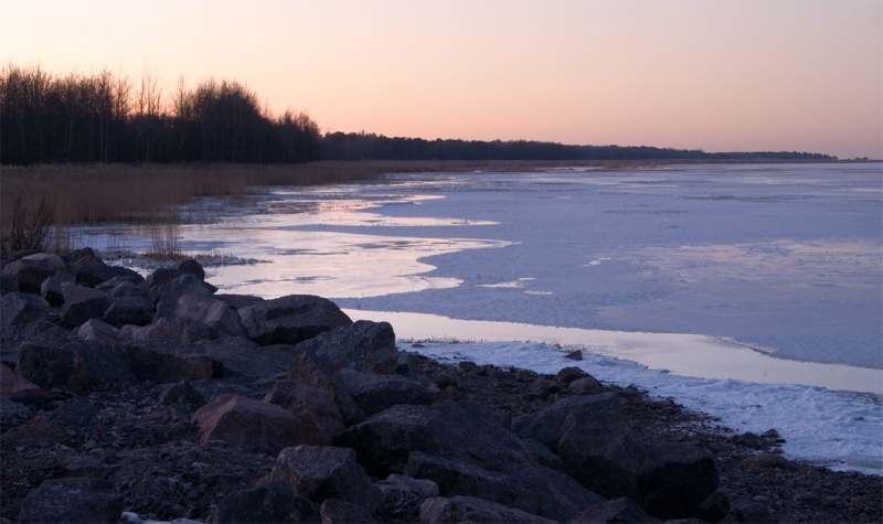 Image_1.jpg