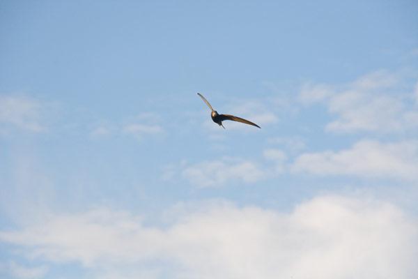 DSC_+-2804_DxO-1.jpg