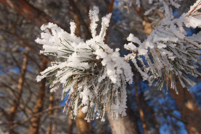 2008_01080143.jpg
