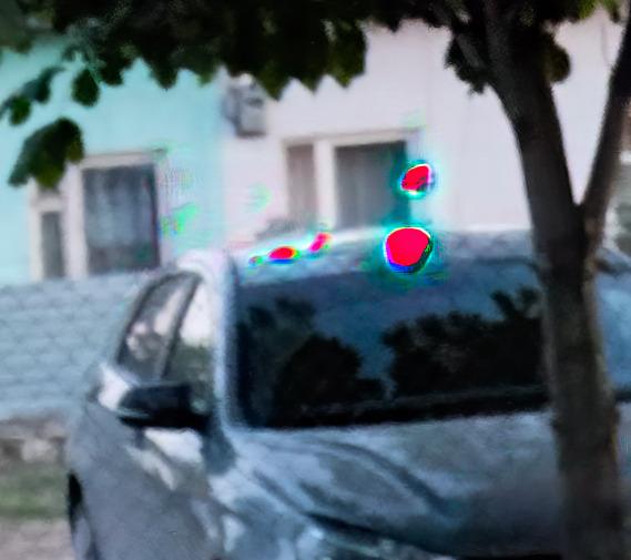 пятна.jpg