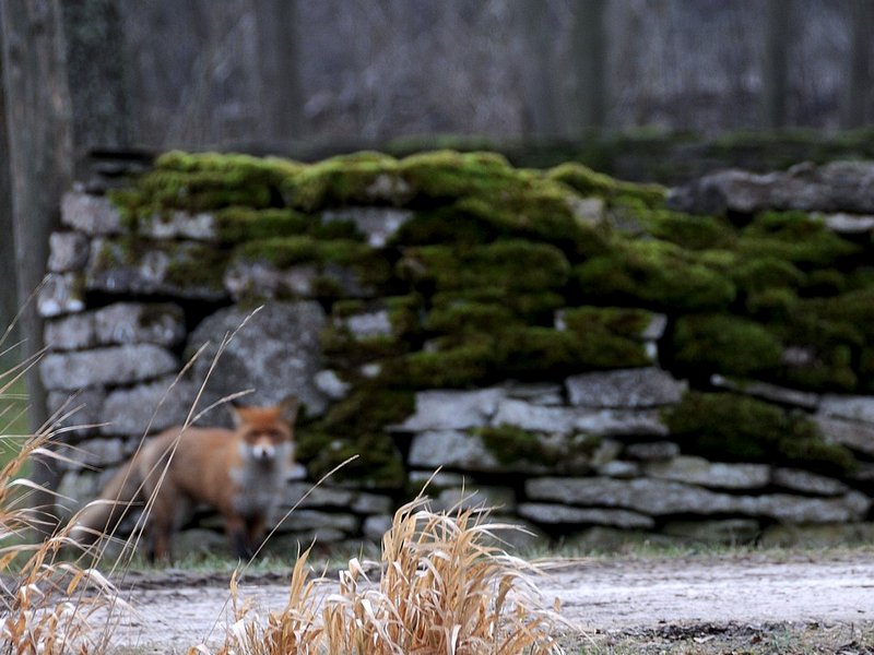 2008Jan16_020_cr.jpg