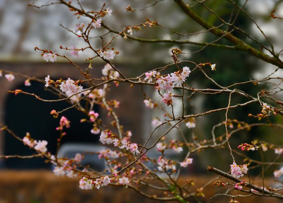 _DSC6468_a.jpg