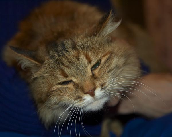 DSC_1673.jpg