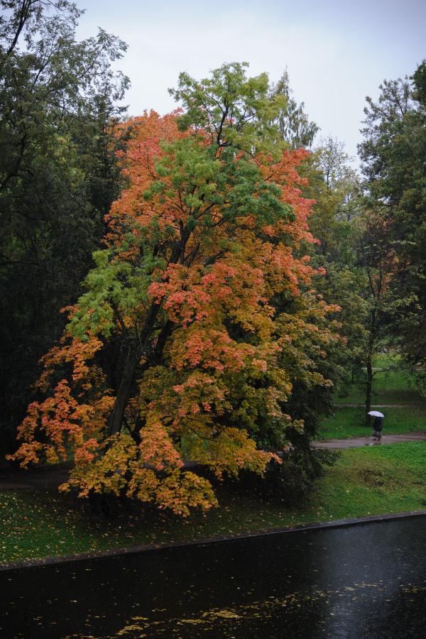 DSC_4076.jpg