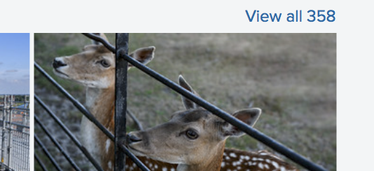 Screen Shot 2019-10-16 at 15.47.49.png
