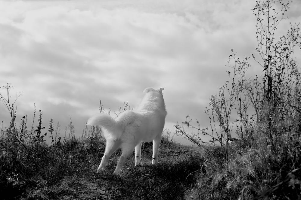 DSC_0513_02.jpg