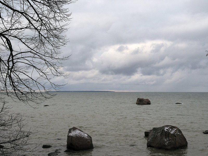 2008Jan23_016.jpg