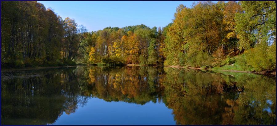 autumn.jpg