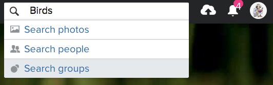 Screen Shot 2019-11-19 at 19.50.50.png